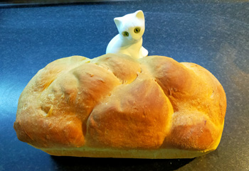 eierbrood